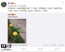雷军晒小米6拍照闹笑话：错把月季当成了黄玫瑰