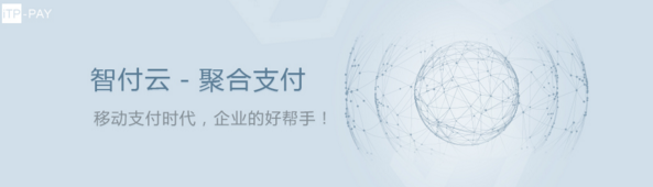 智付云：支付方式的“进化史”  