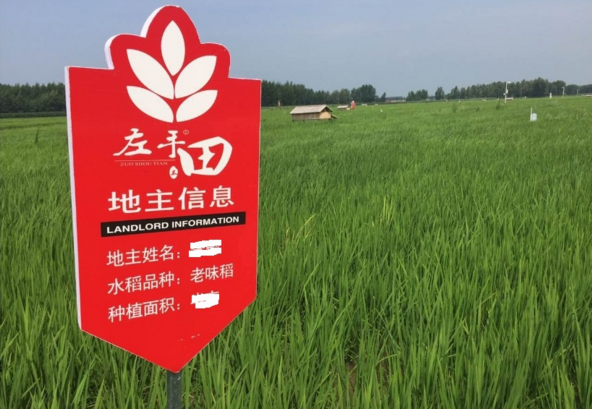 投哪网乐投会送你一块田，全年吃健康有机大米  